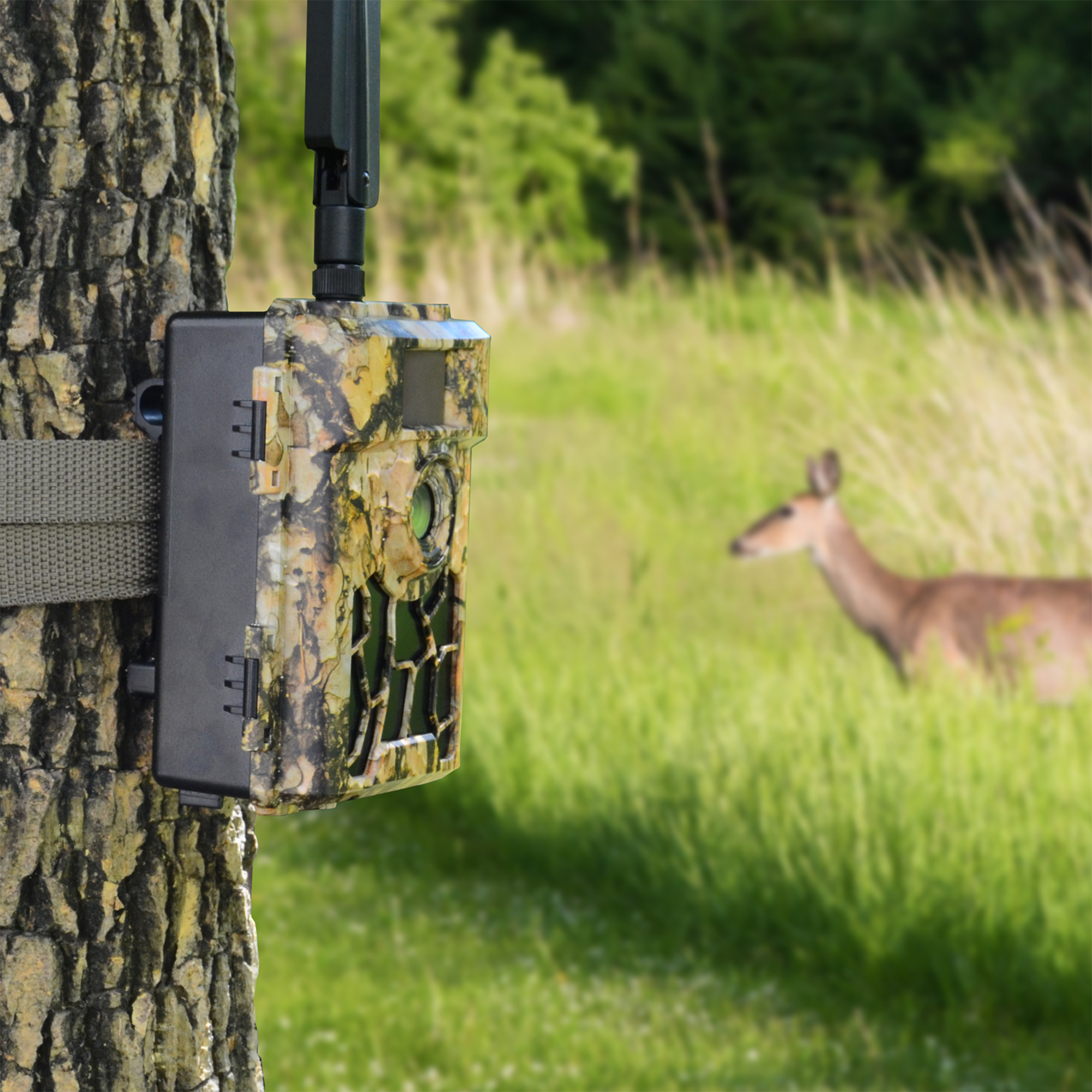 Caméra de Chasse 4G PNI Hunting 480C PRO 24MP – GPS, Vision Nocturne, Détection PIR 60° – Image 5