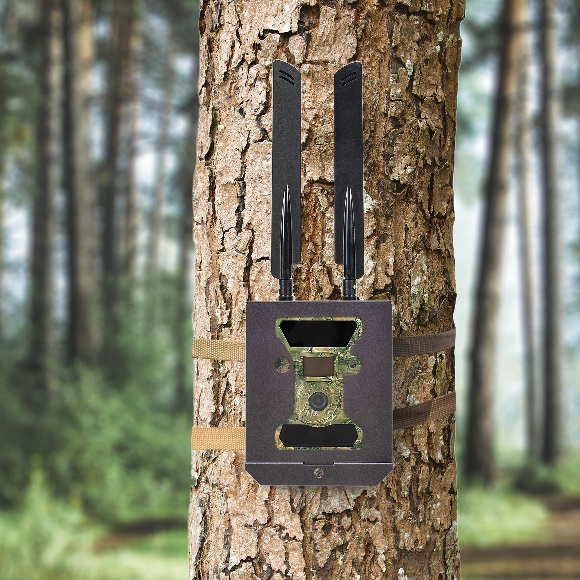 Boîtier métallique antivol pour appareils photo de chasse – Image 6