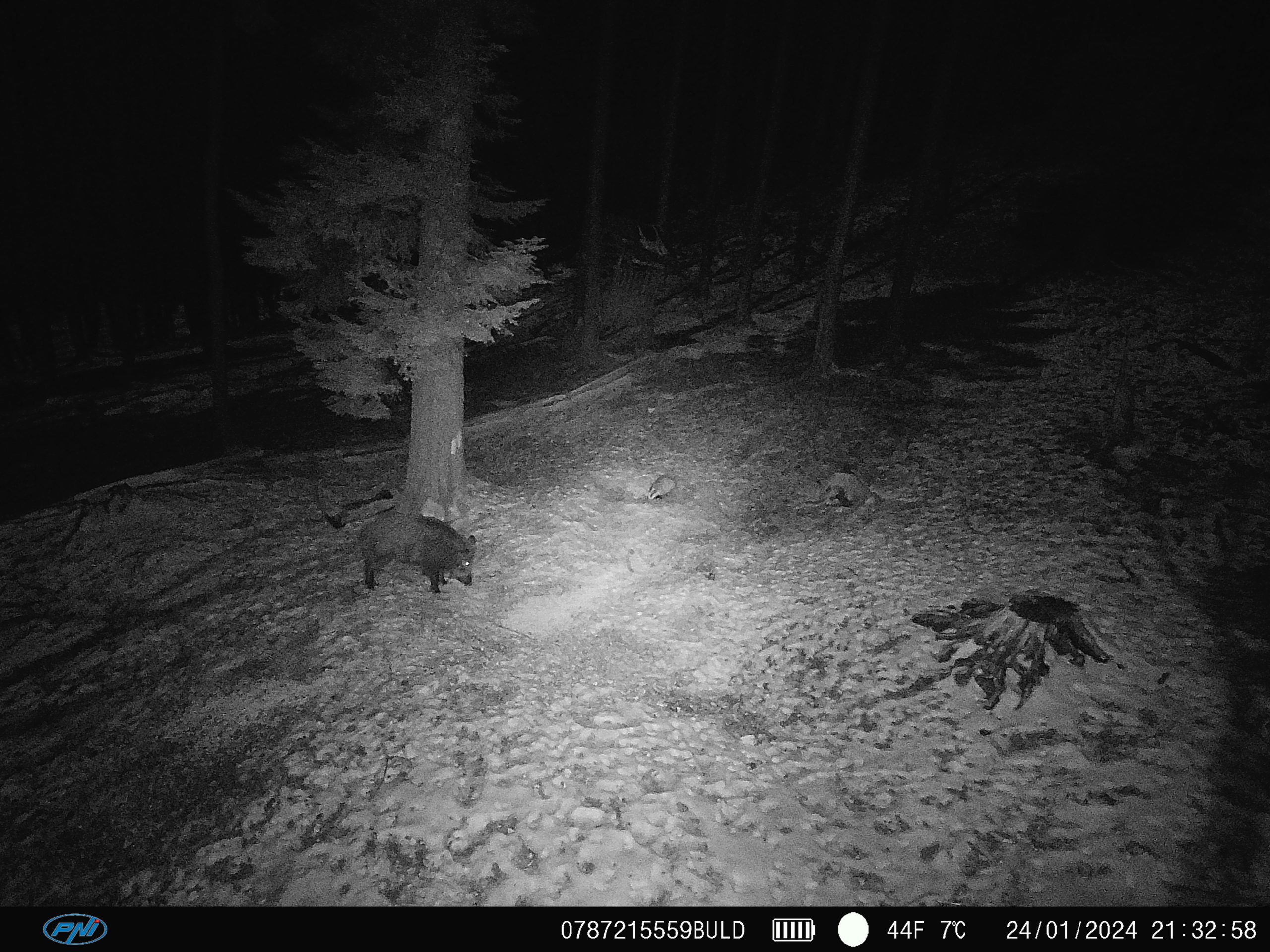 Caméra de Chasse 4G LTE PNI Hunting 400C PRO – 24 MP, GPS, Vision Nocturne, Transmission sur Smartphone – Image 6